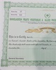 01 - BFVAPEA Membership Certificate 